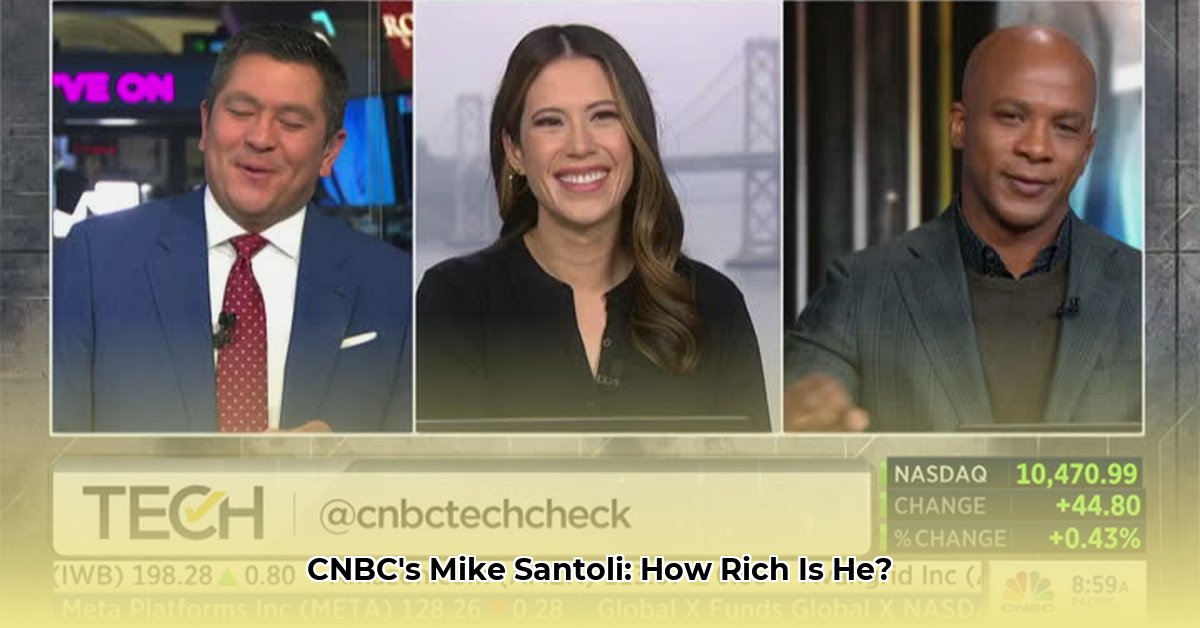 mike-santoli-net-worth